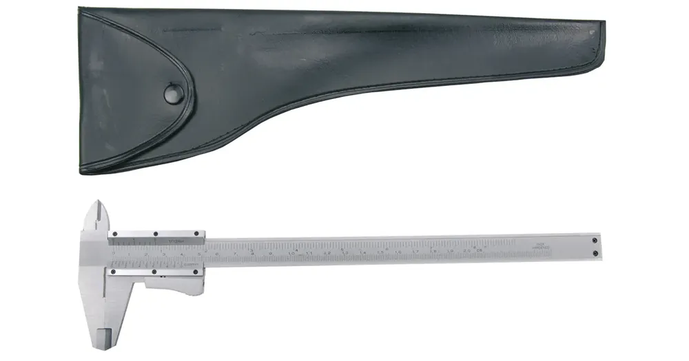 Akce BGS Měřítko posuvné 200 mm, chromované