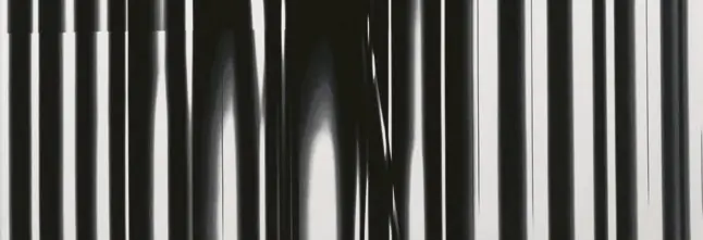 Kerasan INKA odkladná keramická deska 12x35, 5cm, zebra 341533 Horká Nabídka