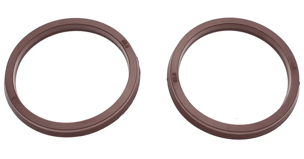 BGS Těsnění fluorelastomerové k BGS 4068 Horká Nabídka