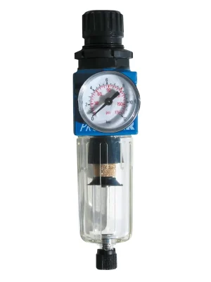 Zlevněný ProfiAir FR filtr pro redukci tlaku 1/4" model