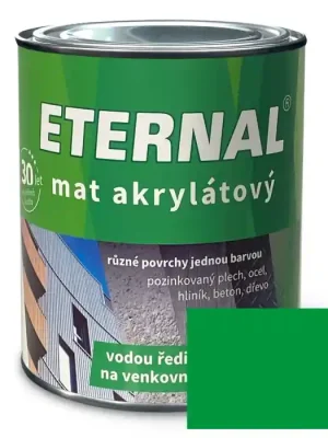 Značkový AUSTIS ETERNAL mat akrylátový 0,7 kg zelená 06